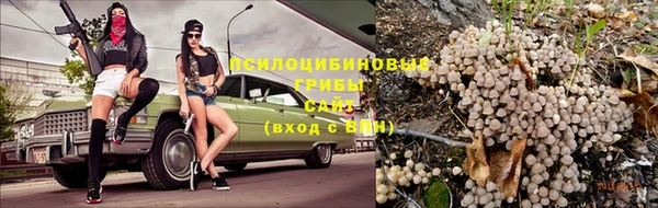 мяу мяу кристалл Алексин