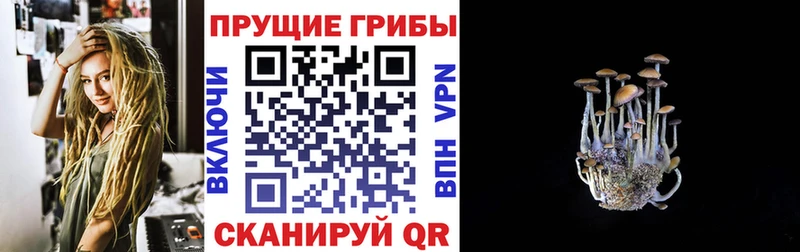 Псилоцибиновые грибы прущие грибы Азнакаево